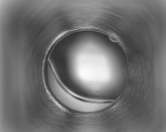 X0000058771142200510171219