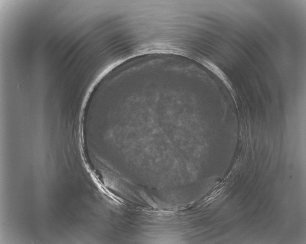 X0000058771144200510171219