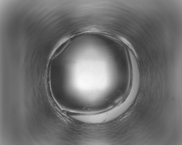 X0000058771146200510171219