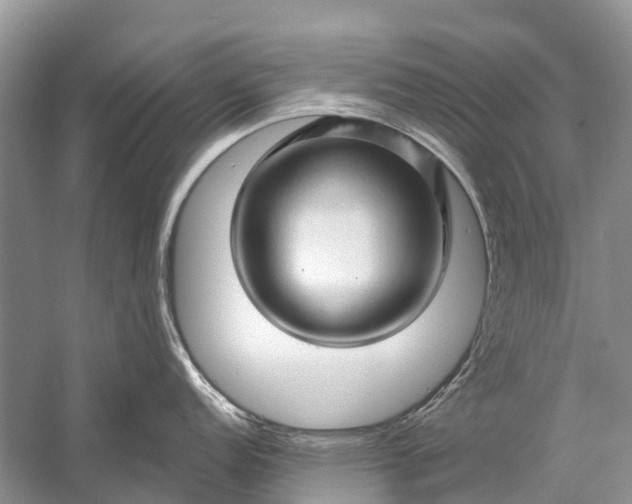 X0000058771152200510171219