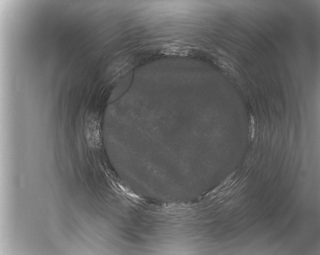 X0000058771154200510171218