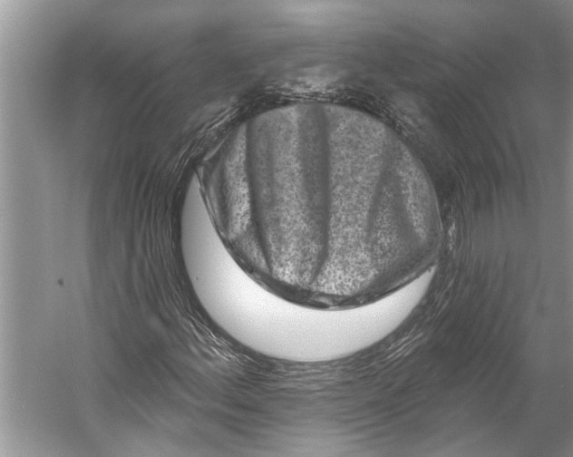 X0000058771156200510171218