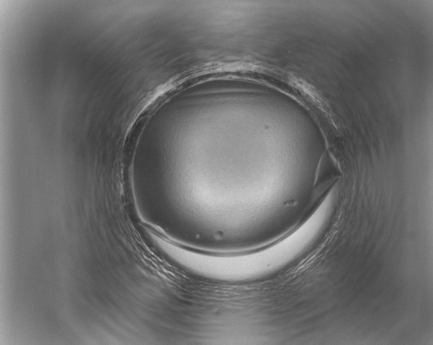 X0000058771165200510171218