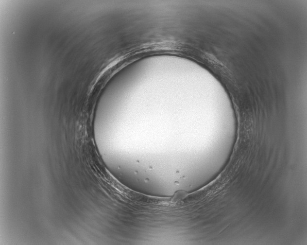 X0000058771166200510171218