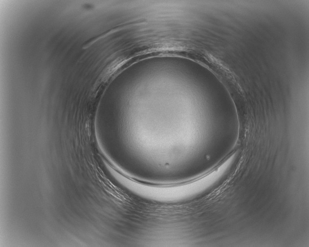 X0000058771169200510171218