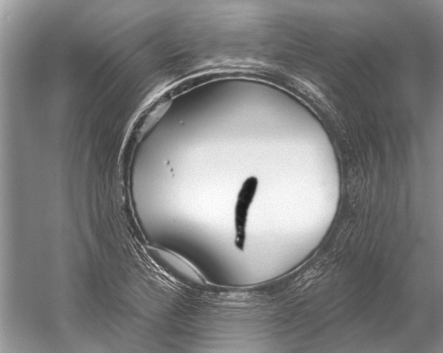 X0000058771172200510171218