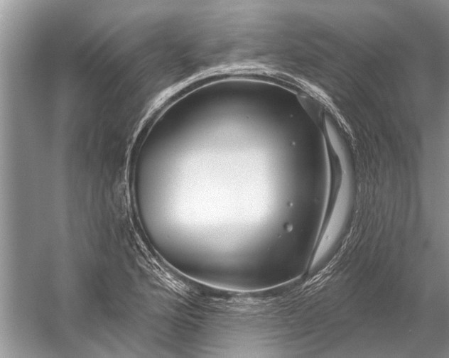 X0000058771176200510171218