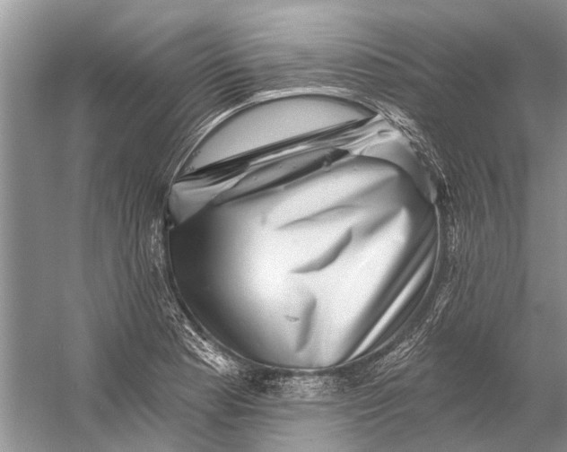 X0000058771177200510171218