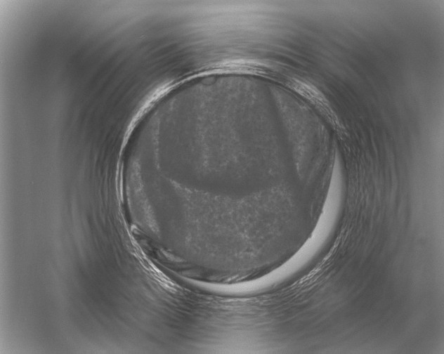 X0000058771180200510171218