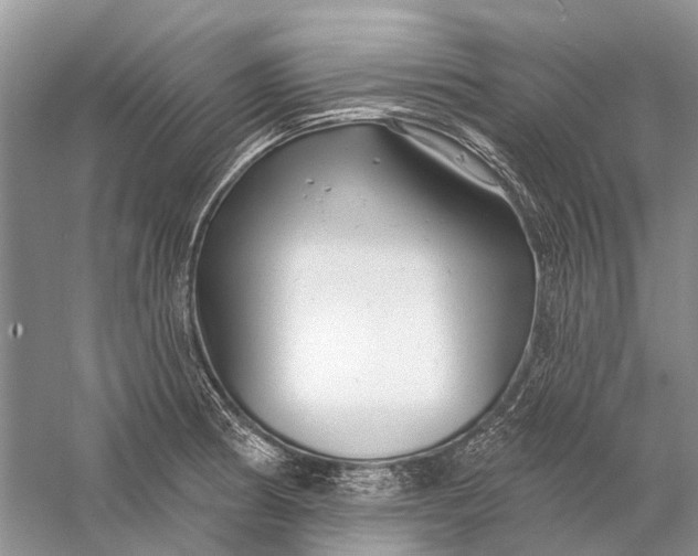 X0000058771186200510171218