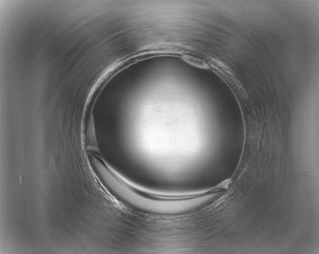 X0000058771188200510171218