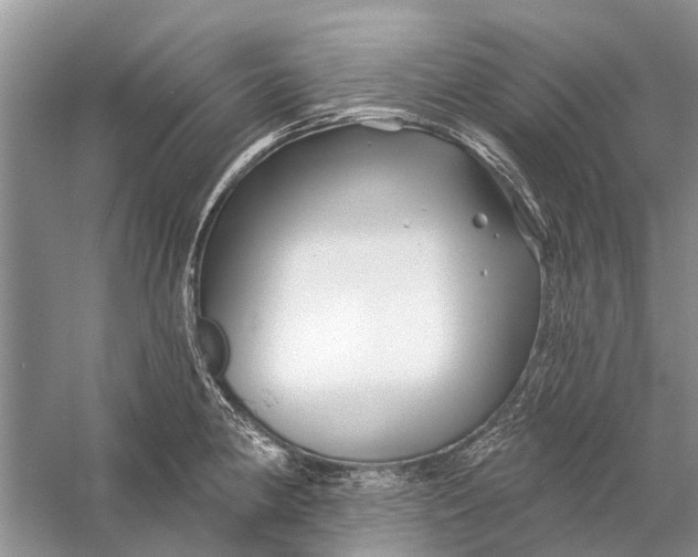 X0000058771190200510171218