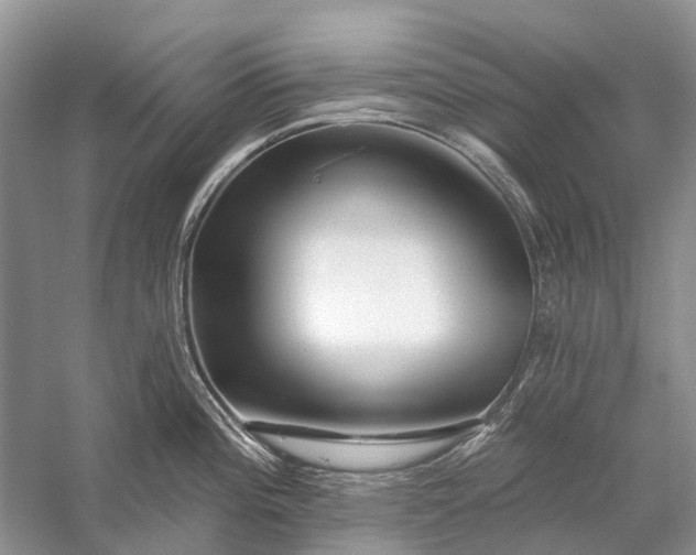 X0000058771196200510171217