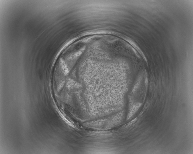 X0000058771197200510171217