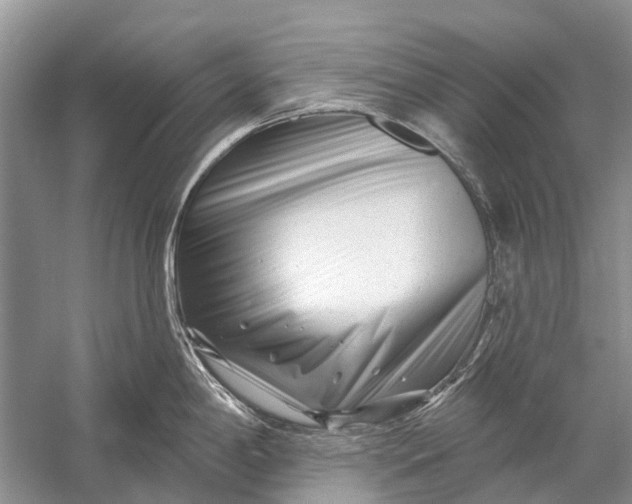 X0000058771198200510171217