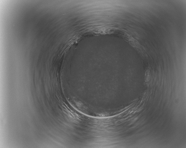 X0000058771202200510171217