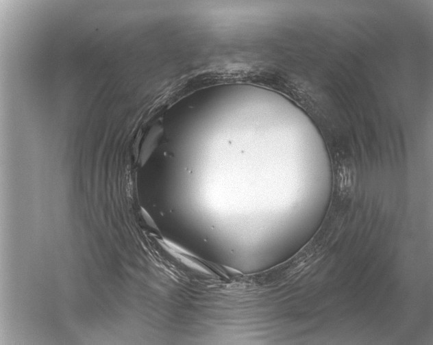 X0000058771204200510171217