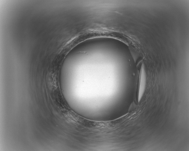 X0000058771205200510171217