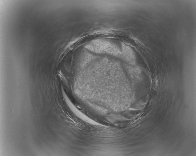 X0000058771206200510171217