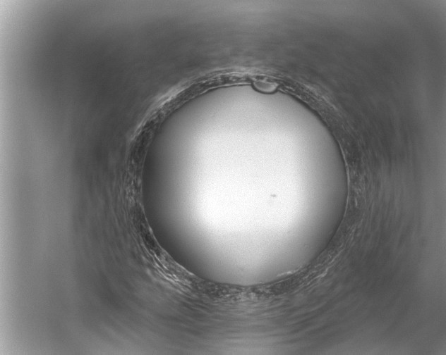 X0000058771207200510171217