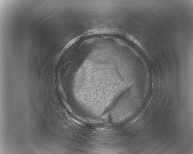 X0000058771213200510171217