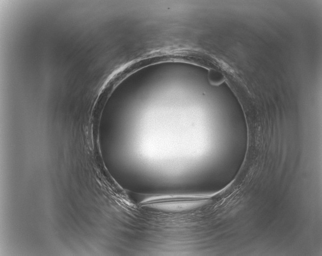 X0000058771214200510171217