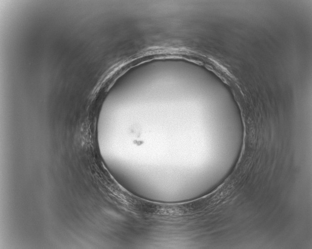 X0000058771215200510171217