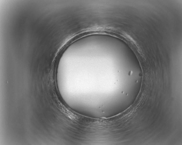 X0000058771216200510171217