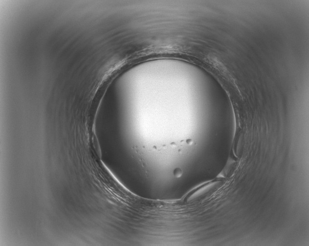 X0000058771218200510171217