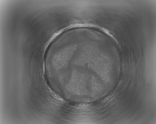 X0000058771221200510171217