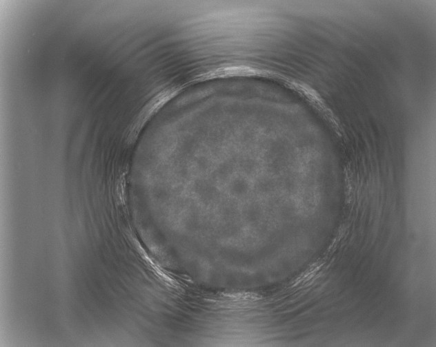 X0000058771225200510171217