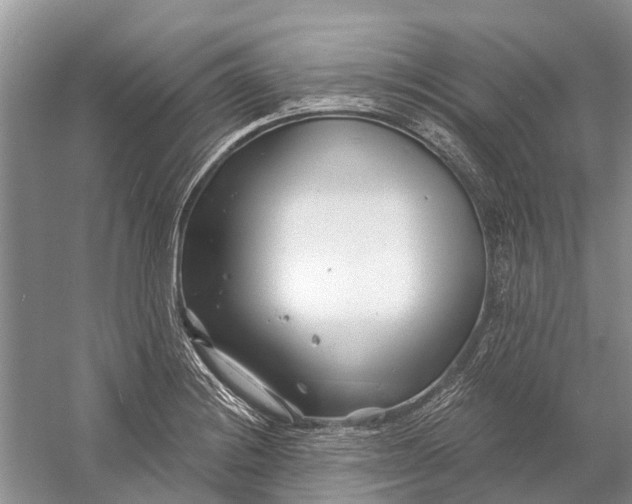 X0000058771228200510171217