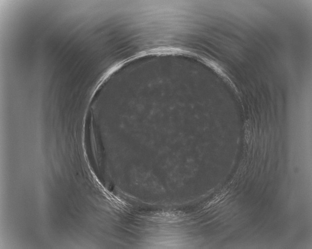 X0000058771229200510171217