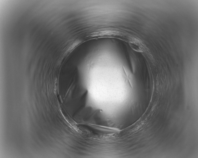 X0000058771233200510171217