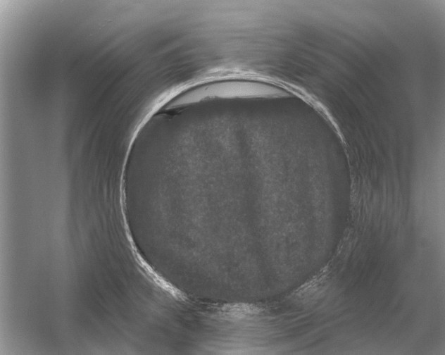 X0000058771239200510171217