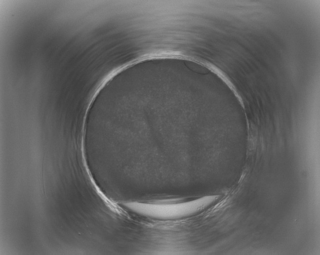 X0000058771245200510171217