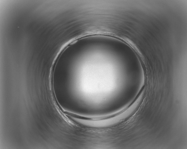 X0000058771246200510171217