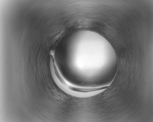 X0000058771250200510171216