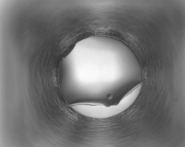 X0000058771252200510171216