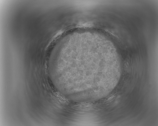 X0000058771254200510171216