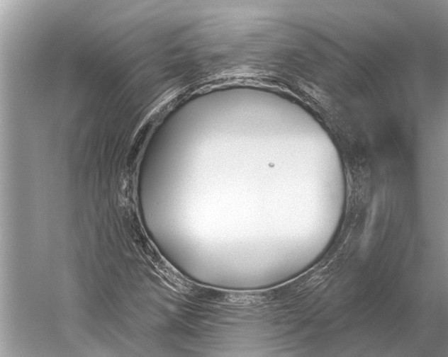 X0000058771258200510171216