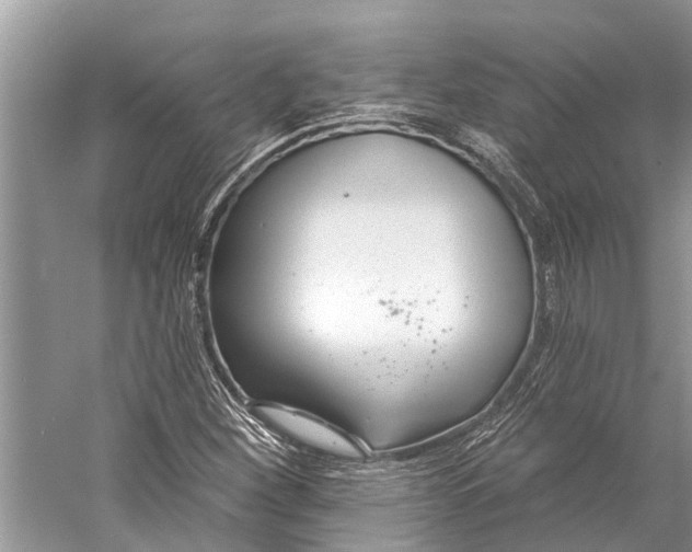 X0000058771260200510171216