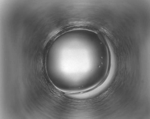 X0000058771261200510171216