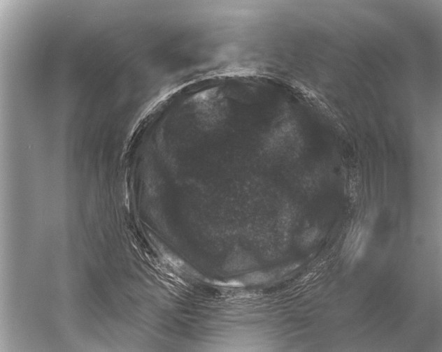 X0000058771262200510171216