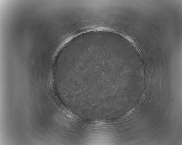 X0000058771263200510171216