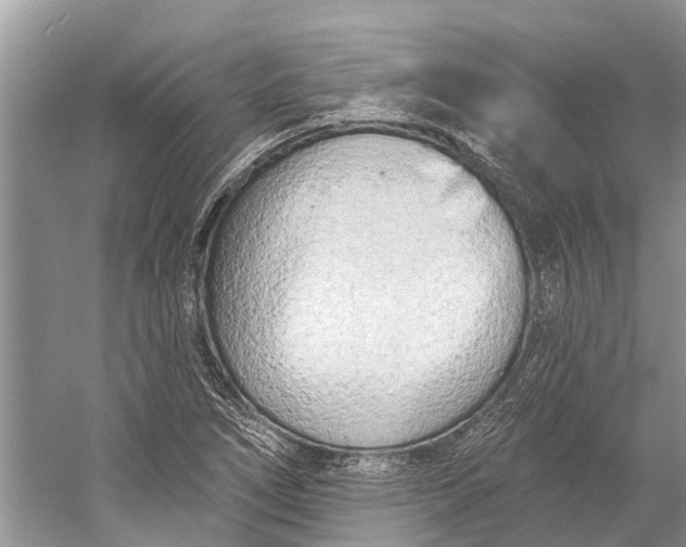 X0000058771266200510171216