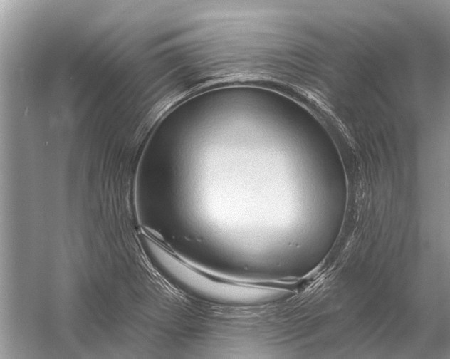 X0000058771273200510171216