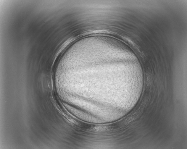 X0000058771274200510171216