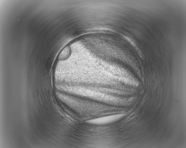 X0000058771275200510171216