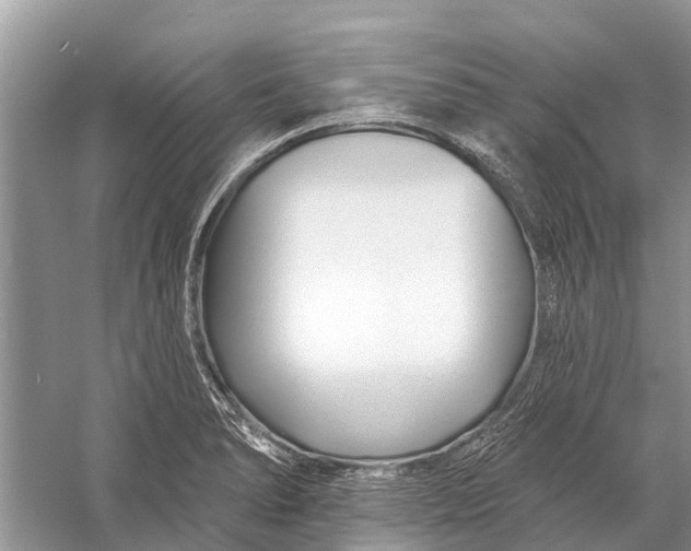 X0000058771278200510171216